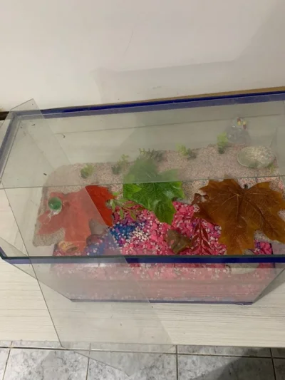 Aquario 15 Litros