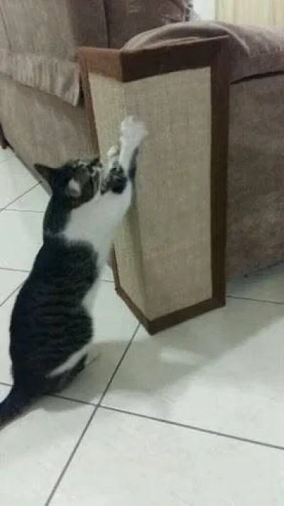 Protetor de Sofa e Arranhador de Gato Promoçao