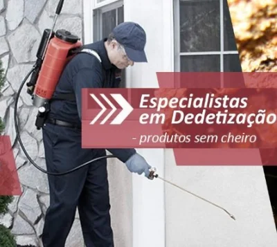 Empresa de Dedetização – Controle de Pragas na Grande SP