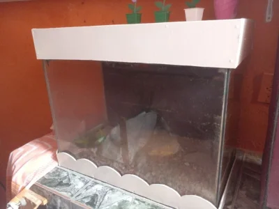 Vendo Aquário