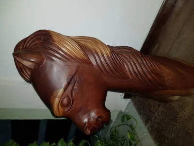Carranca Decorativa em Madeira Maciça