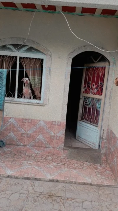 Casa de 2 Quartos na Estrada São Tarcísio em Sepetiba