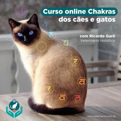 o Chakra dos Cães e Gatos