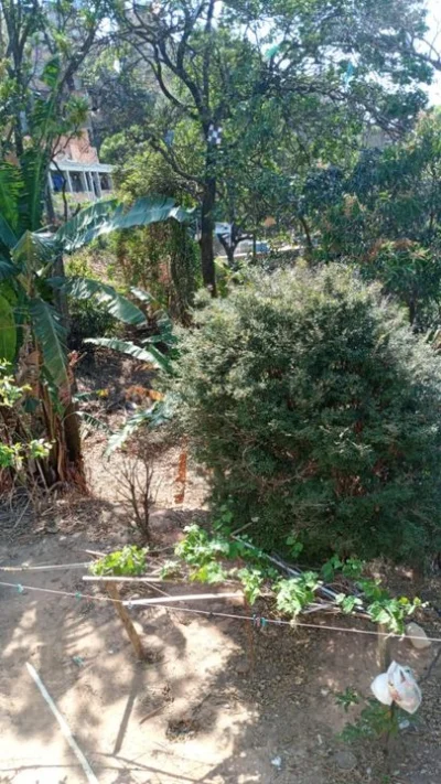 Troco área 10m X 10m , por Fiorino ou Similar