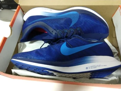 Nike Pegásus Turbo - Novo