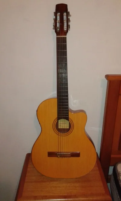 Violão Elétrico Di Giorgio
