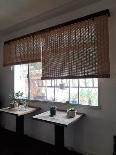 Cortinas de rolo com bandô. $50 cada.