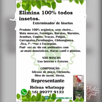 Mata Insetos