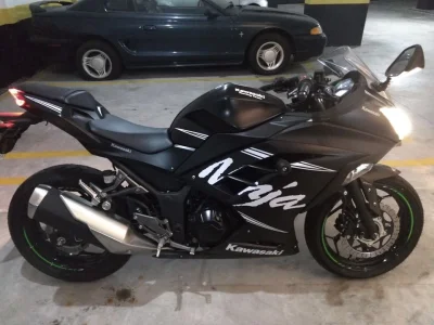 Kawasaki Ninja 300 (ABS) 2018