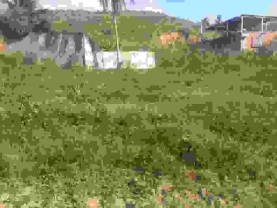 Inacreditável Terreno no São Caetano