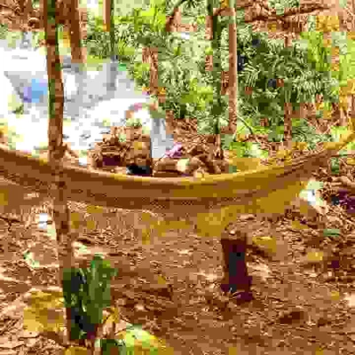Terreno com Praia Particular