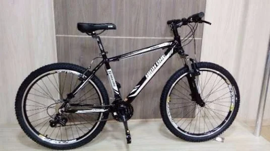 Bicicleta Aro