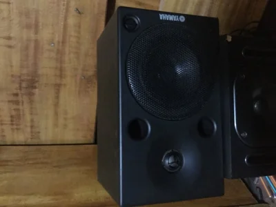 Monitor Yamaha Msp5