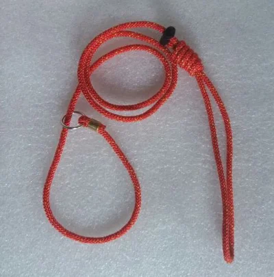 Guias Unificadas 6 Mm para Todos Os Portes de Cachorros