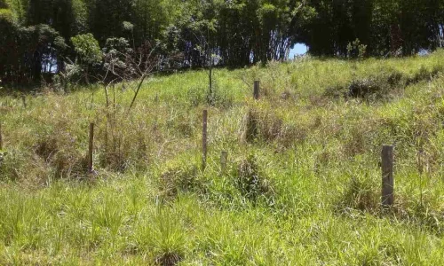Alugo Terreno de Oitocentos e Cinco Metros Quadrados