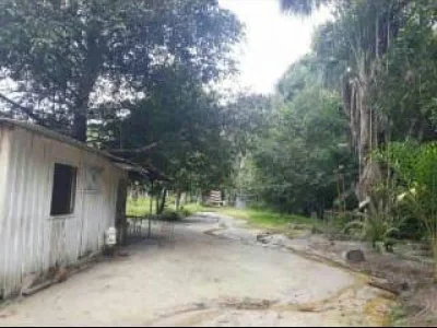 Sítio Rural à Venda, Parque 10 de Novembro, Manaus -