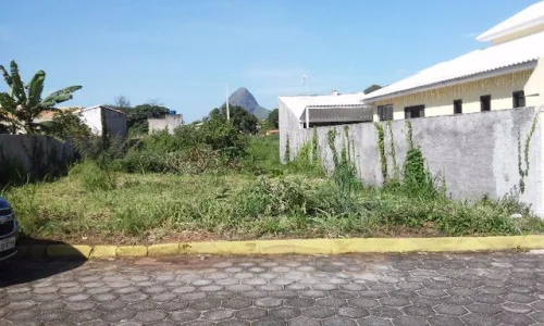 Oportunidade Imperdível