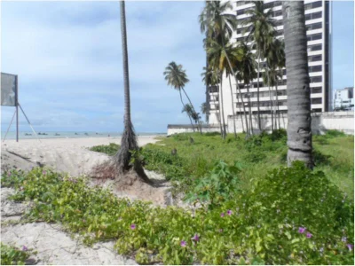 Terreno com 3150 m2 em Jaboatão dos Guararapes - Piedade por 15.000.000,00 à Venda