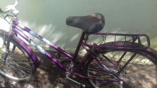 Bicicleta Feminina Adulta