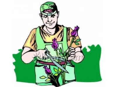 Podas de árvores e Limpezas de Terreno Devillex Jardinagem