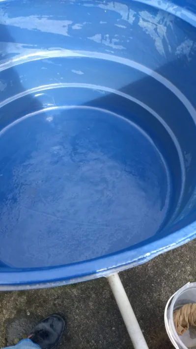 Dedetizaçao e Limpeza de Caixa Dagua com Laudo de Potabilida