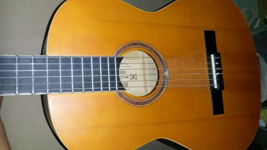 Vendo um Violão