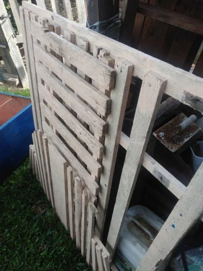 Bote