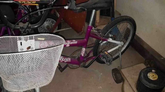 Bicicleta Aro 20
