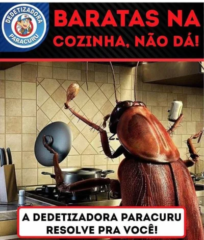 Dedetização Desentupitora