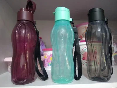 Garrafas Tupperware 310ml