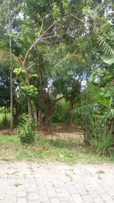 Itaipuaçu - Terreno com 363 m2 em Maricá - Cajueiros por 79 Mil à Venda