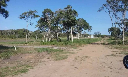 Prontos para Construir