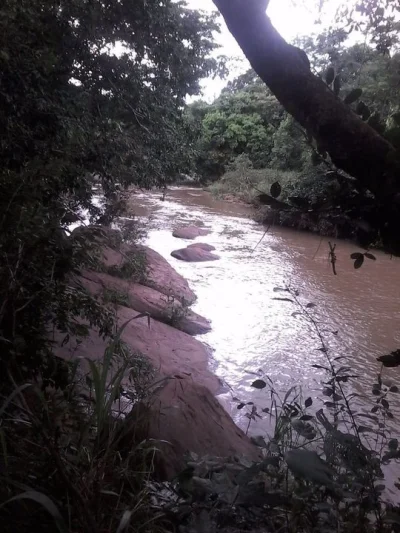 Terrenos no Centro