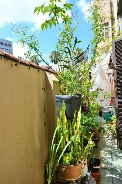 Apartamento Diferenciado no Bom Fim