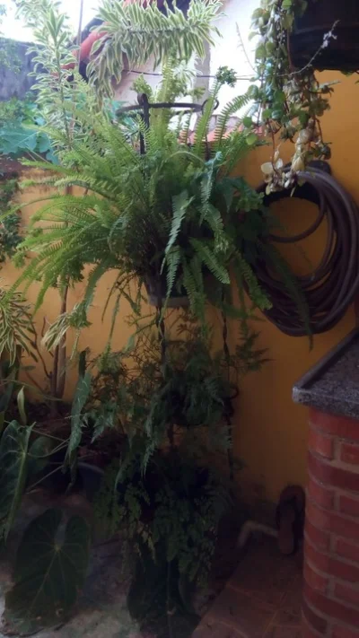 Natureza Viva
