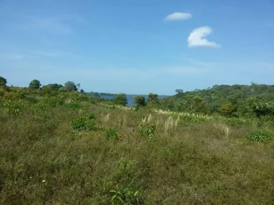 Terreno à Venda, 5000 m2 por RS 89.000,00 - Zona Rural - Iranduba-am