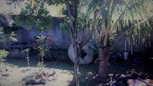 Casa em Sambaetiba - Mini Sítio