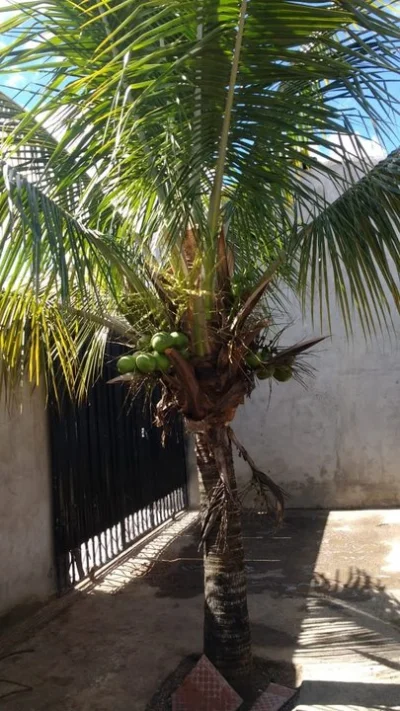 Vendo Casa Santa Maria Sul
