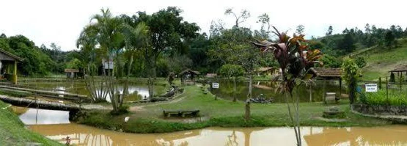 Terreno 1.000 Metros
