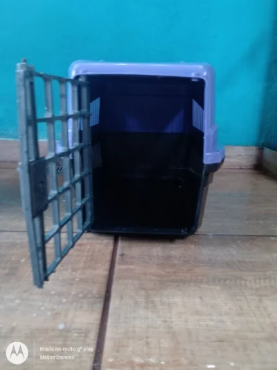 Caixa de Transporte para Pet
