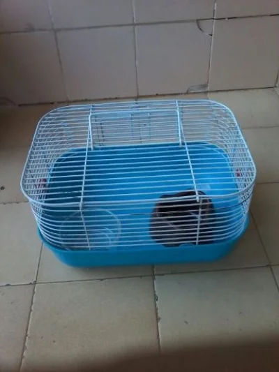 Gaiola para Hamster Simples