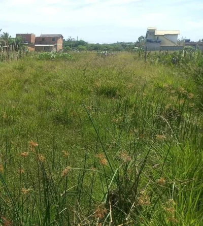 Grande Terreno Bem Localizado em Búzios