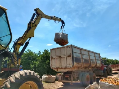 Carregadeira de Laranja ou Lenha