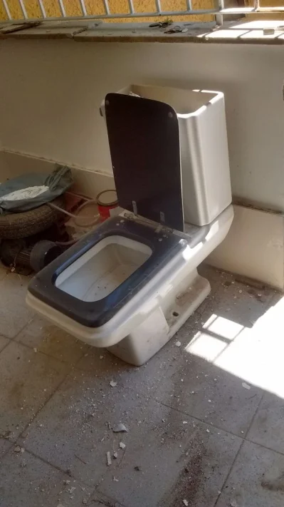 Vendo Vaso Sanitária