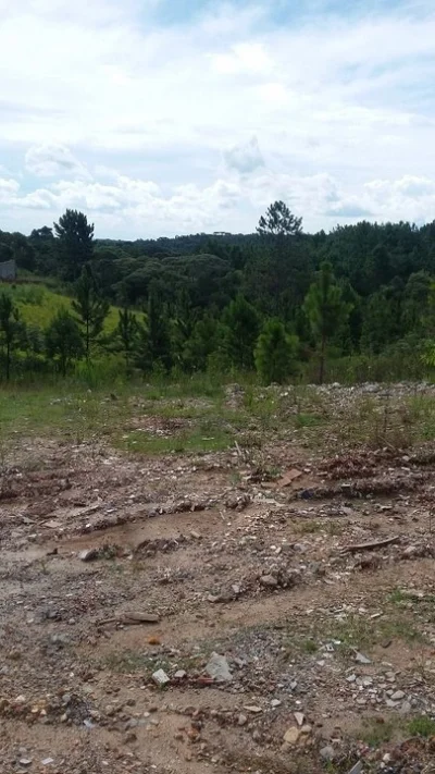 Terreno no São Dimas