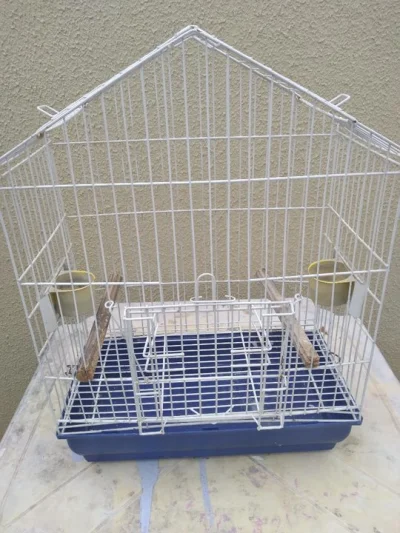 Gaiola Calopsita ou Periquito