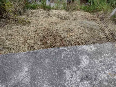 Terreno à Venda