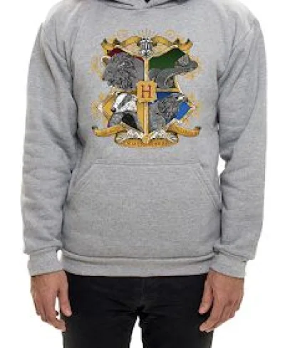 Moletom Harry Potter