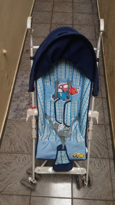 Carrinho para Bebê