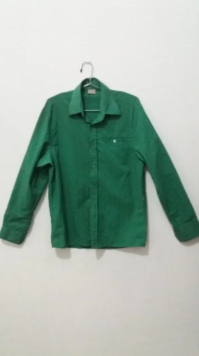 Camisa Zoomp Verde